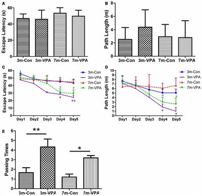 Valproic Acid Stimulates Hippocampal Neurogenesis via Activating the Wnt/β-Catenin Signaling Pathway in the APP/PS1/Nestin-GFP Triple Transgenic Mouse Model of Alzheimer’s Disease